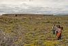 Nature Walk, Tierra Patagonia Hotel & Spa, Paine National Park, Chile