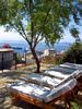Chaise Lounges, Zero Hotel, Valparaiso, Chile