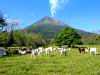 Arenal Volcano View, Arenal Kioro Hotel, La Fortuna, San Carlos, Costa Rica