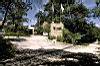 Driveway Entrance, Camino Real Tikal Hotel , Tikal, Guatemala