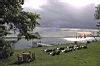 Lakefront, Camino Real Tikal Hotel, Tikal, Guatemala