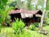 House, Cariblue Hotel, Playa Cocles, Costa Rica