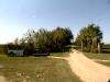 Driveway, Estancia El Ombu, San Antonio de Areco, Argentina