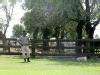 Gaucho and Friend, Estancia El Ombu, San Antonio de Areco, Argentina