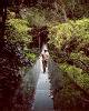 Forest Canopy Walkway, Four Seasons Luxury Resort Hotel, Peninsula Papagayo, Costa Rica