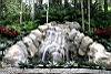 Waterfall, Gaia Hotel & Reserve, Costa Rica