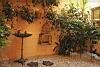Garden Bird Feeder, Malabia House Hotel, Buenos Aires, Argentina