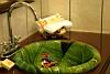 Sink, Manatus VIP Hotel & Spa, Tortuguero, Costa Rica