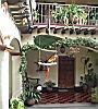 Patio Parrot, Mayan Inn Hotel, Chichicastenango, Guatemala