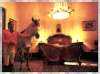 Owner with Horse in Sitting Room,<BR>Pinsaqui Hacienda, Otavalo, Ecuador - Room Service Pleassssseeeee!!!!