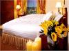 Suite, Ritz Carlton Hotel, Santiago, Chile