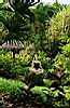 Garden Meditation, Tabacon Hot Springs, Arenal, Costa Rica