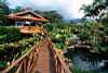 Group Docks, Tabacon Hot Springs, Arenal, Costa Rica