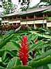 Exterior, Tabacon Lodge, Arenal, Costa Rica