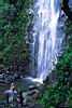 La Fortuna Waterfall, Tabacon Hot Springs, Arenal, Costa Rica
