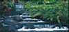 Stairway Waterfall, Tabacon Hot Springs, Arenal, Costa Rica