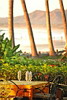 Metapalo Restaurant, Tamarindo Diria Hotel, Guanacaste, Costa Rica