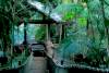 Cat-Walk, Yacutinga Lodge Hotel, Iguazu Falls, Argentina