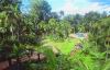 Garden & Rainforest, Yacutinga Lodge Hotel, Iguazu Falls, Argentina