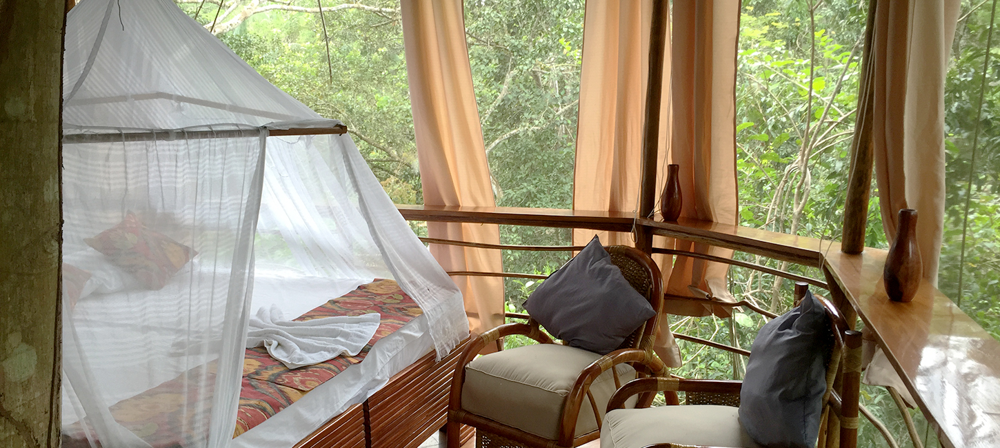 Treehouse Two-Laguna Vista Inside, Treehouse Lodge, San Juan Bautista Iquitos, Loreto, Peru