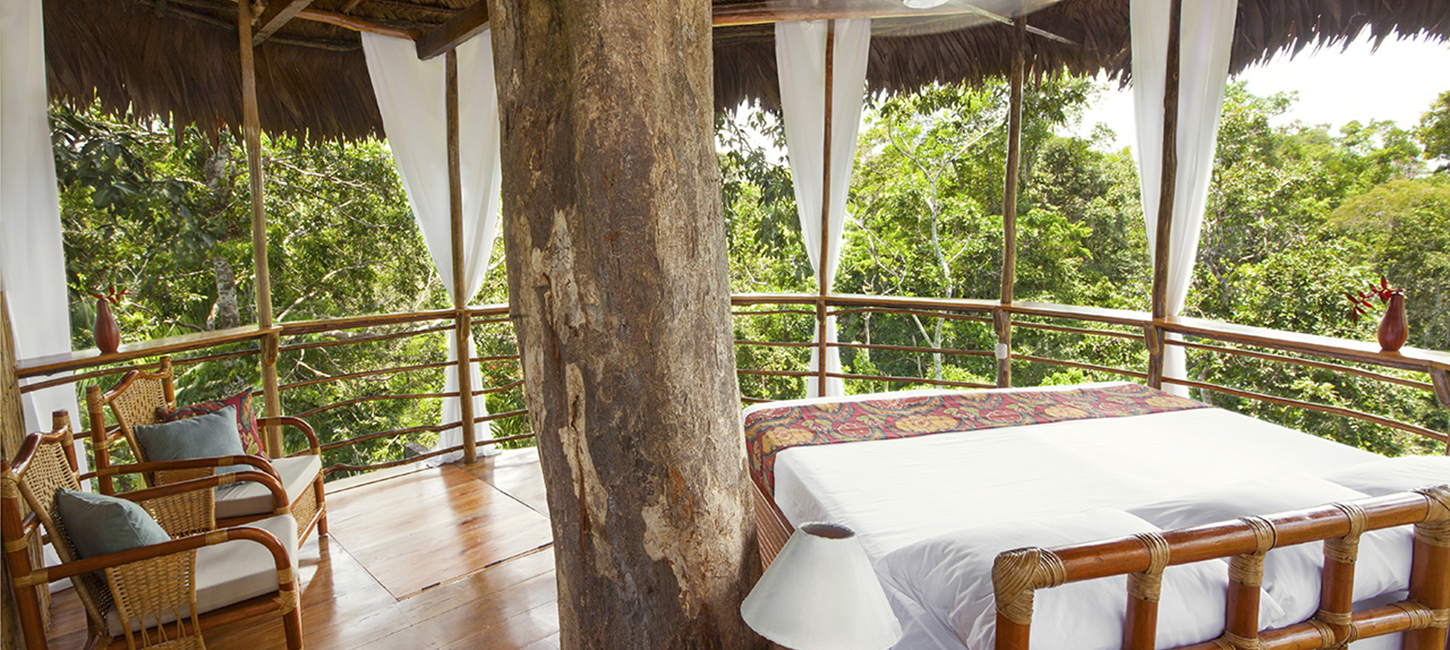 Treehouse Seven-Solitude Inside, Treehouse Lodge, San Juan Bautista Iquitos, Loreto, Peru